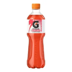 Gatorade Sport Drink 12-Pack Punch Fruit